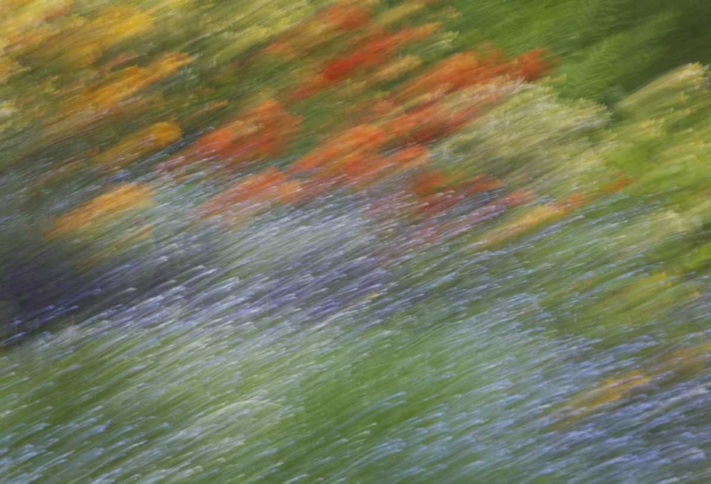 Canada Abstract blur of garden colors art print by Ellen Anon for $57.95 CAD