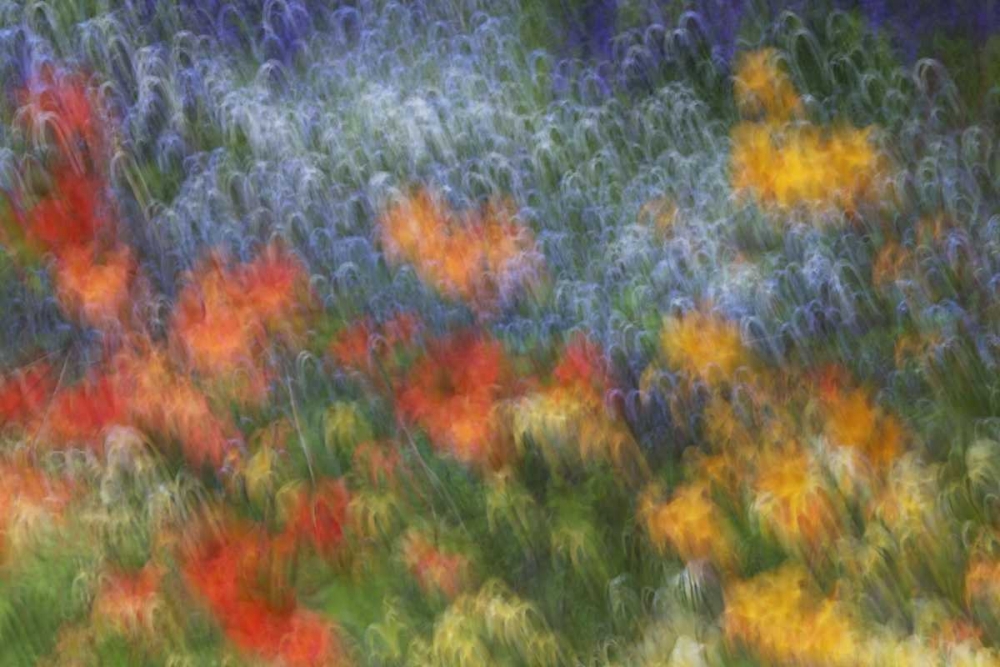Canada Abstract blur of garden colors art print by Ellen Anon for $57.95 CAD