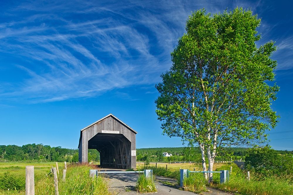 Canada-New Brunswick-Riverside-Albert Sawmill Creek covered bridge art print by Jaynes Gallery for $57.95 CAD