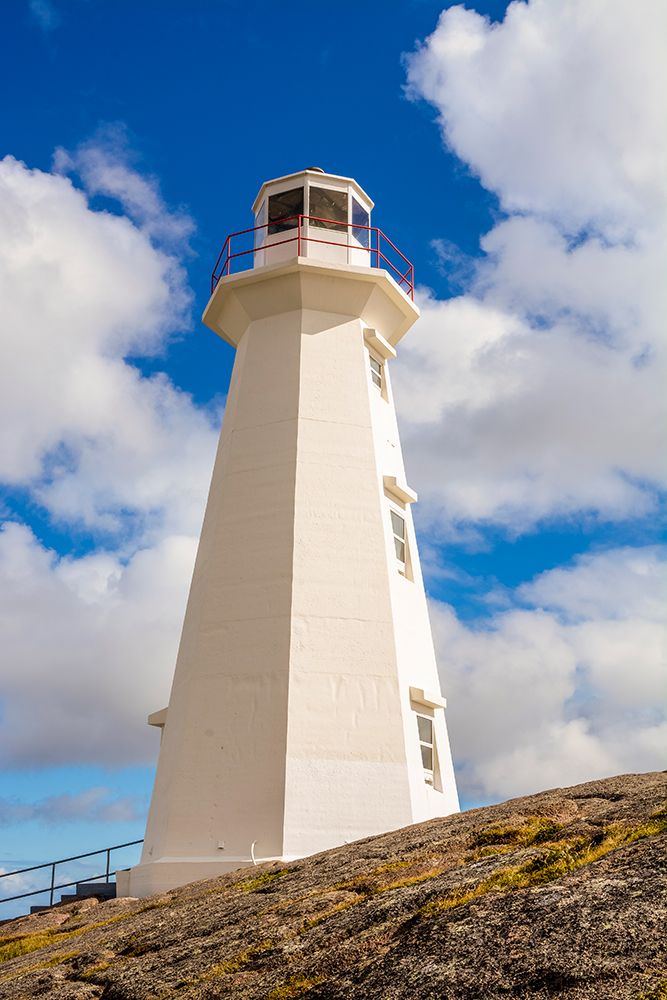 Newfoundland Art prints and posters