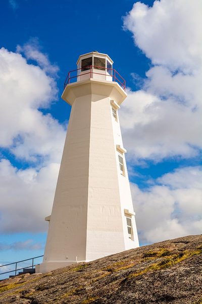 Newfoundland Art prints and posters