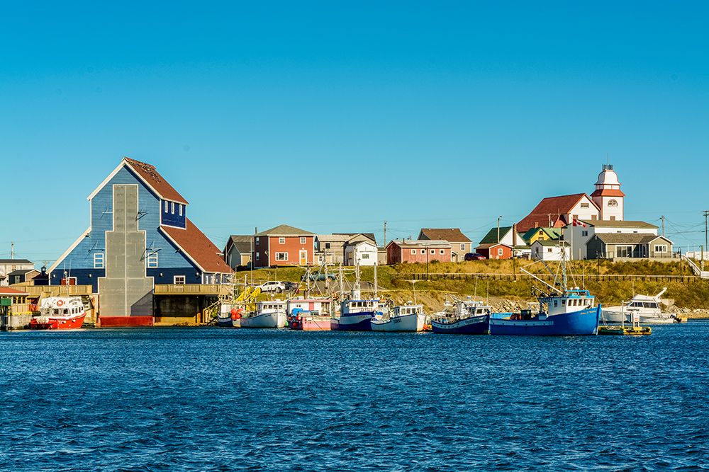 Newfoundland Art prints and posters