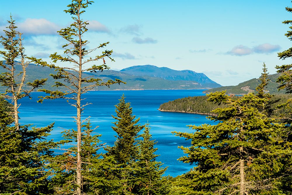 Gros Morne National Park-Wild Cove on Bonne Bay-Newfoundland-Canada art print by Michael DeFreitas for $57.95 CAD