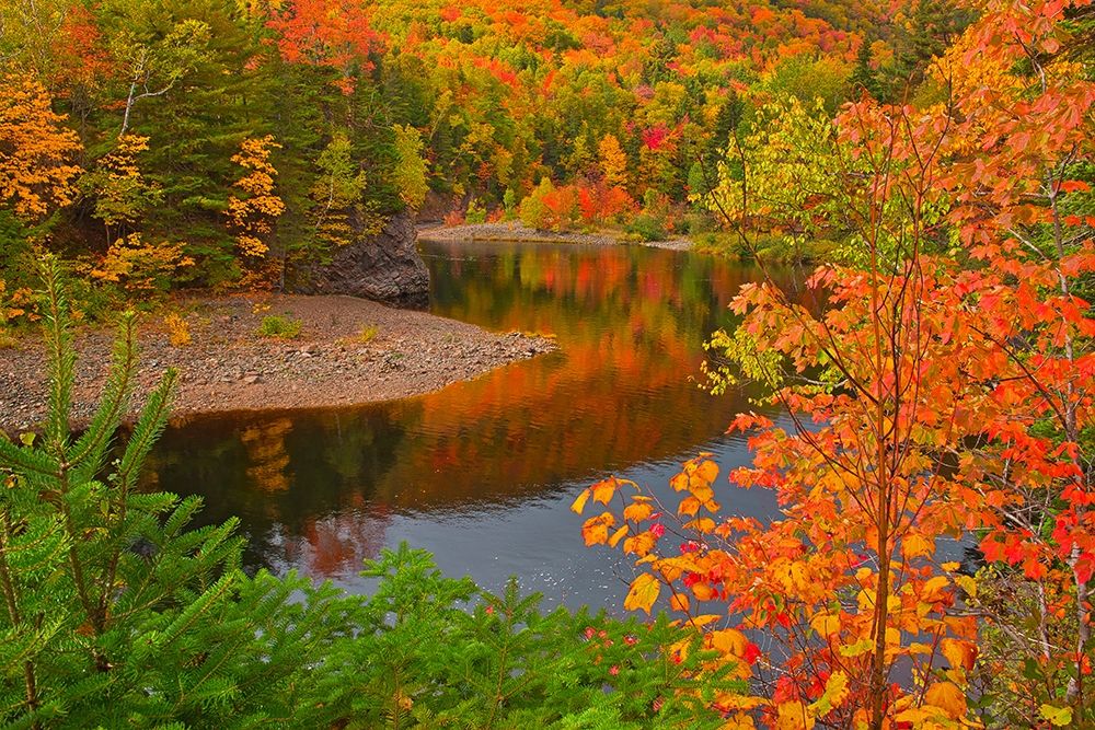 Canada-Nova Scotia Indian Brook and forest in autumn art print by Jaynes Gallery for $57.95 CAD
