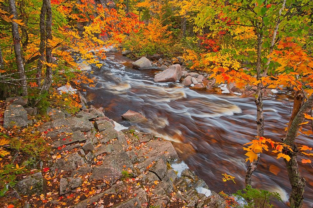 Canada-Nova Scotia Mary-Anne Falls and forest in autumn foliage art print by Jaynes Gallery for $57.95 CAD