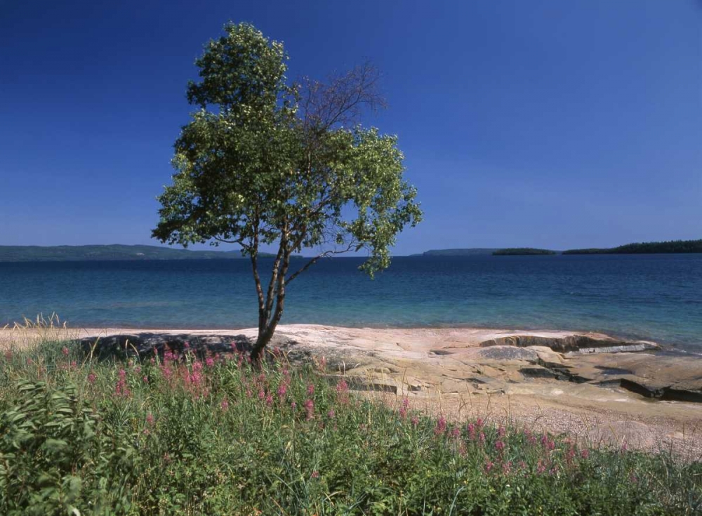 Canada, Ontario, Lake Superior art print by Mike Grandmaison for $57.95 CAD