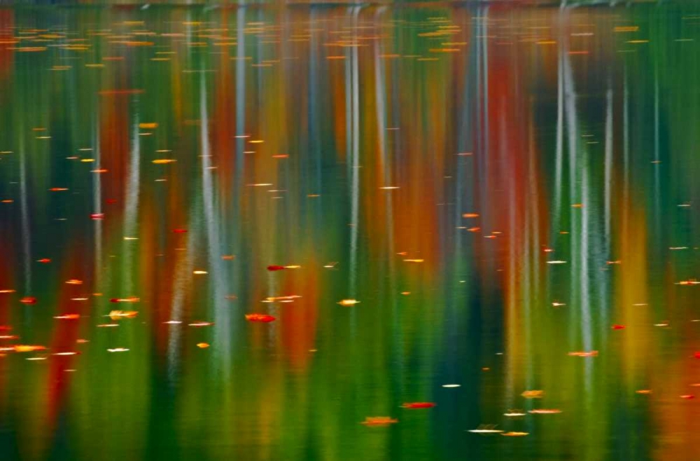 Canada, Ontario Autumn at Horseshoe Lake art print by Mike Grandmaison for $57.95 CAD