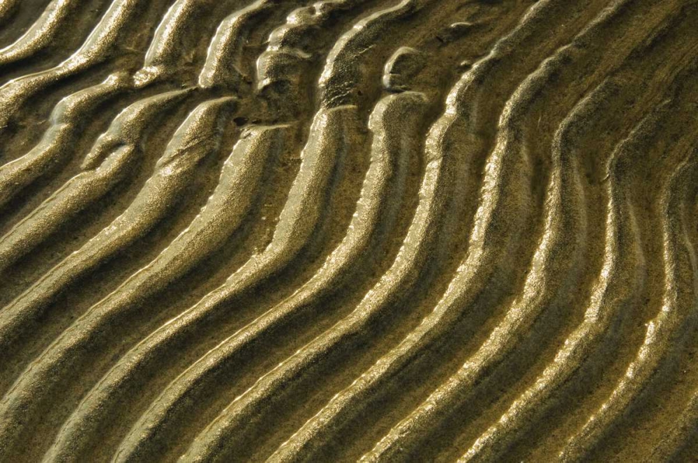 Canada, Ontario Ripples in sand of Georgian Bay art print by Mike Grandmaison for $57.95 CAD