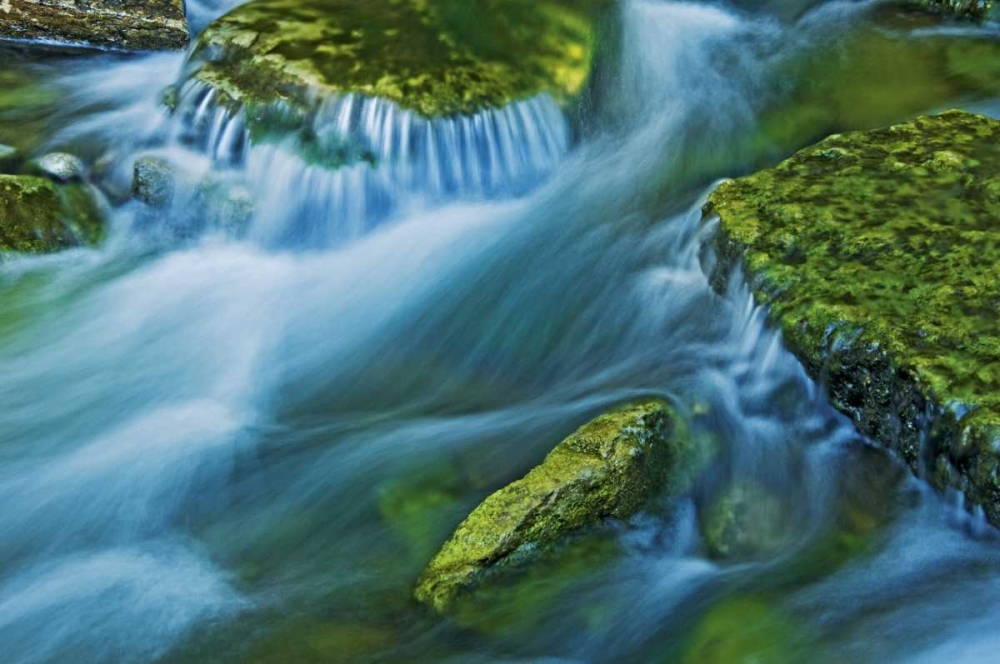 Ontario Art prints and posters