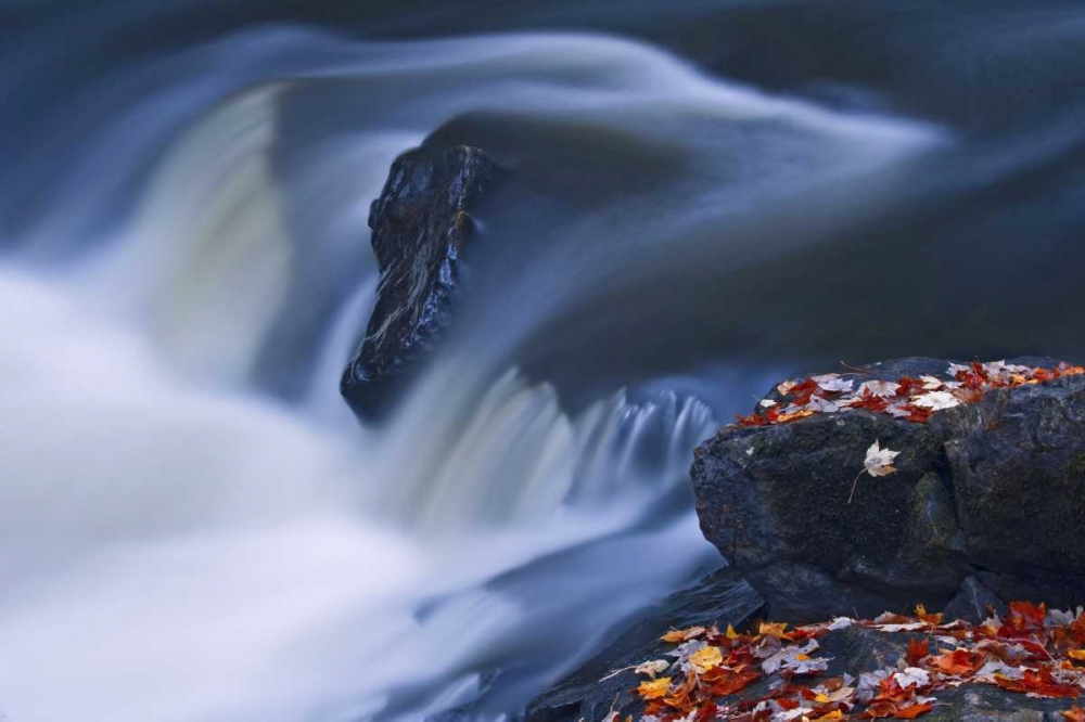 Canada, Emsdale Maple leaves by Magnetewan River art print by Mike Grandmaison for $57.95 CAD