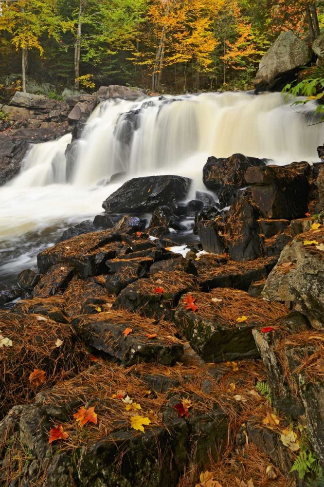 Canada, Emsdale Maple leaves by Magnetewan River art print by Mike Grandmaison for $57.95 CAD