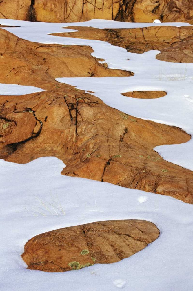 Canada, Killarney PP Animal tracks in snow art print by Mike Grandmaison for $57.95 CAD