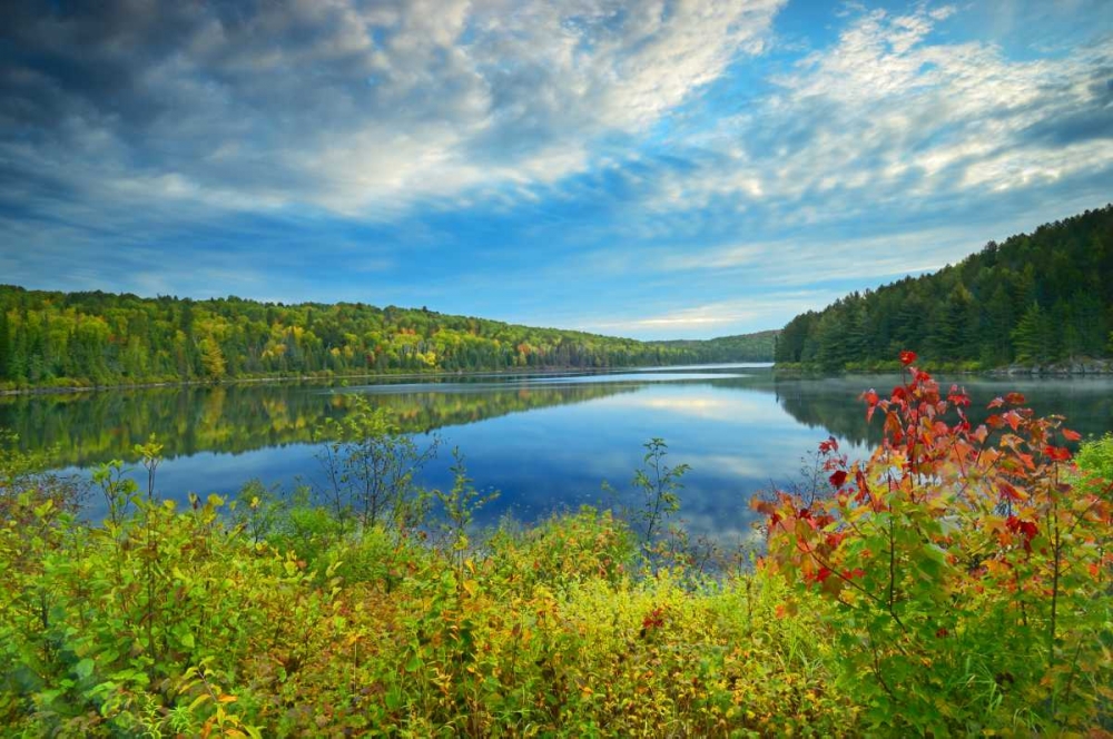 Canada, Algonquin PP Landscape of Costello Lake art print by Mike Grandmaison for $57.95 CAD