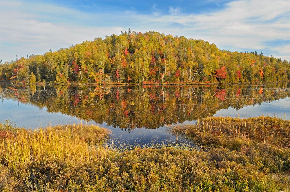 Canada-Ontario-Goulais River Forest reflection in lake art print by Jaynes Gallery for $57.95 CAD