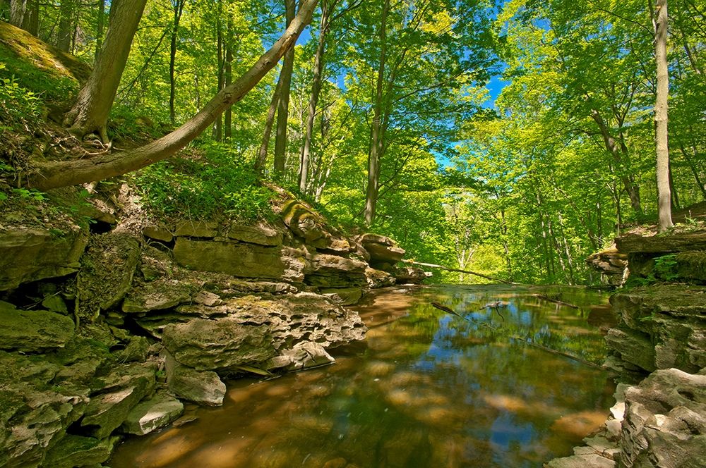 Canada-Ontario-Jordan 16 Mile Creek at Louth Falls art print by Jaynes Gallery for $57.95 CAD