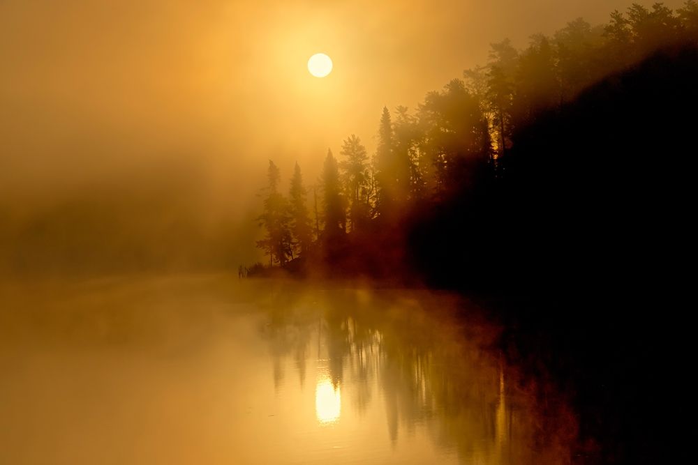 Canada-Ontario-Kenora Fog at sunrise on Isabel Lake art print by Jaynes Gallery for $57.95 CAD