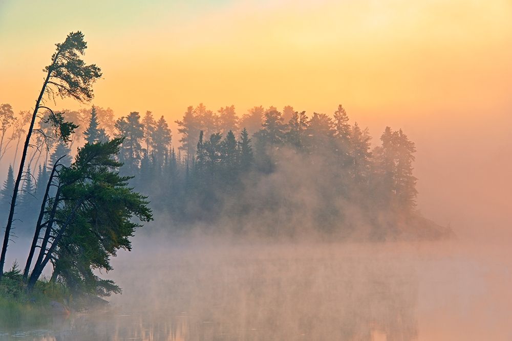 Canada-Ontario-Kenora Fog at sunrise on Isabel Lake art print by Jaynes Gallery for $57.95 CAD