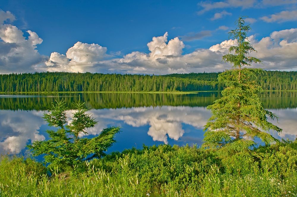 Canada-Ontario Clouds reflected in Trail Lake art print by Jaynes Gallery for $57.95 CAD