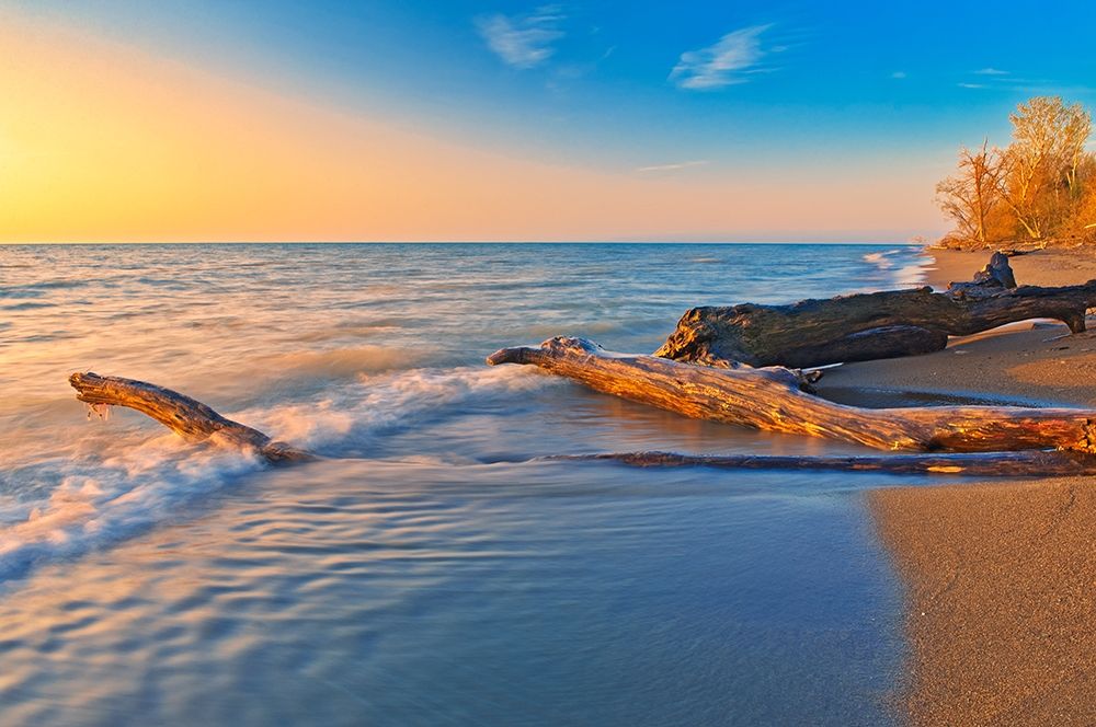 Canada-Ontario-Point Pelee National Park Driftwood on Lake Erie shoreline at sunrise art print by Jaynes Gallery for $57.95 CAD