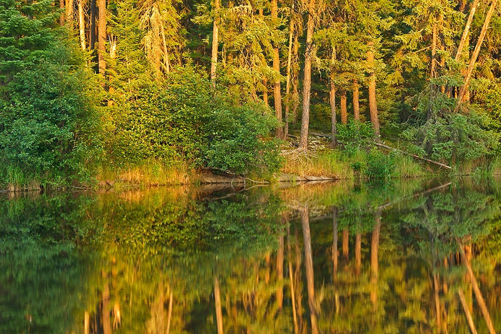 Canada-Ontario Sunset on forest reflected in lake art print by Jaynes Gallery for $57.95 CAD