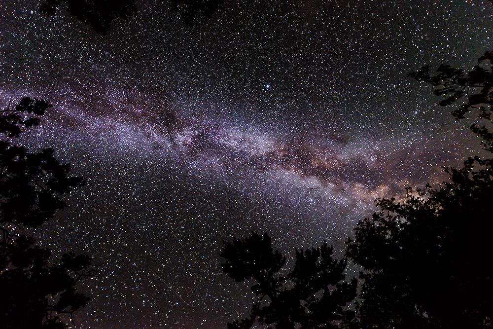 Canada-Ontario-Sioux Narrows Provincial Park-Night sky with Milky Way art print by Jaynes Gallery for $57.95 CAD