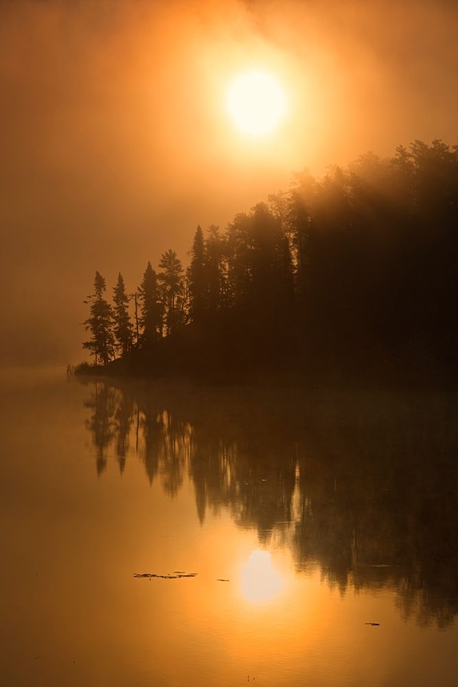 Canada-Ontario-Kenora Isabel Lake in fog at sunrise art print by Jaynes Gallery for $57.95 CAD