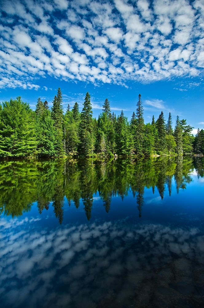 Canada-Ontario-Algonquin Provincial Park-Clouds and boreal forest reflected in Canoe Lake art print by Jaynes Gallery for $57.95 CAD