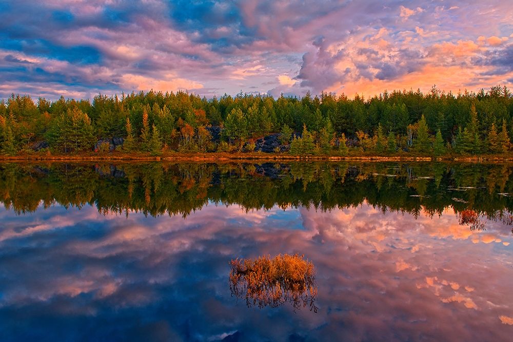 Canada-Ontario-Greater Sudbury Lake grasses and cloud reflections at sunrise art print by Jaynes Gallery for $57.95 CAD