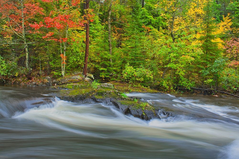 Canada-Ontario Berry Creek landscape art print by Jaynes Gallery for $57.95 CAD