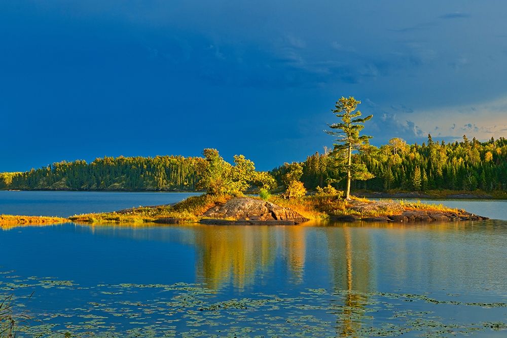 Canada-Ontario-Kenora District Forest autumn colors reflect on Middle Lake at sunset art print by Jaynes Gallery for $57.95 CAD