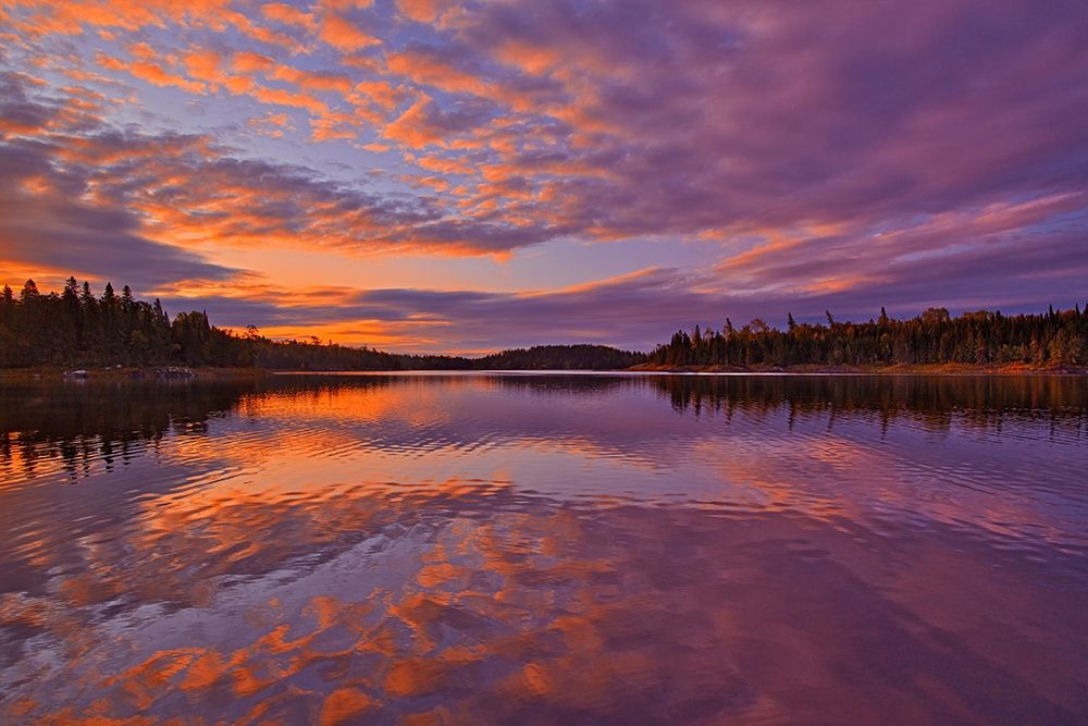 Canada-Ontario-Kenora District Forest autumn colors reflect on Middle Lake at sunrise art print by Jaynes Gallery for $57.95 CAD