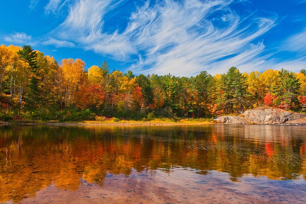 Canada-Ontario-Chutes Provincial Park Reflection on the Aux Sables River in autumn art print by Jaynes Gallery for $57.95 CAD