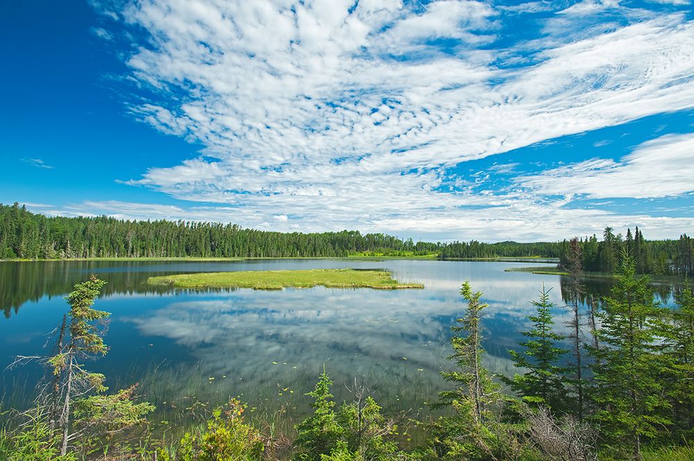 Canada-Ontario-Longlac. Clouds and wetland in a boreal forest. art print by Jaynes Gallery for $57.95 CAD