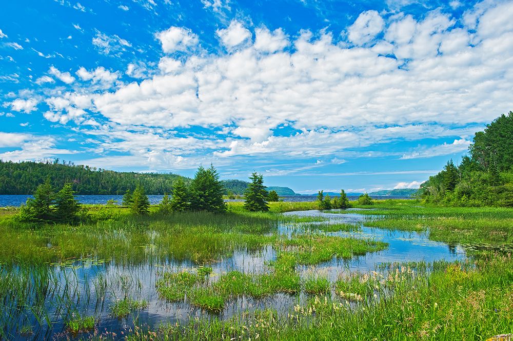 Canada-Ontario. Clouds and wetland at Lake Nipigon. art print by Jaynes Gallery for $57.95 CAD