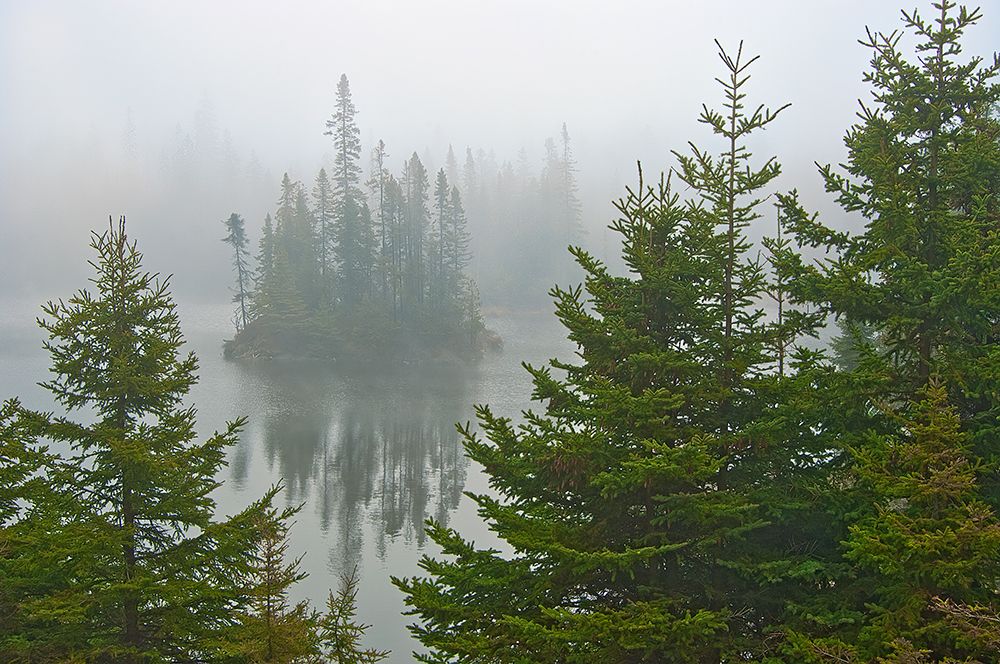 Canada-Ontario-Lake Superior Provincial Park. Fog on island in Fenton Lake. art print by Jaynes Gallery for $57.95 CAD