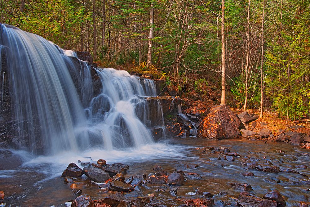 Canada-Ontario-Ignace. Raleigh Falls and forest landscape. art print by Jaynes Gallery for $57.95 CAD