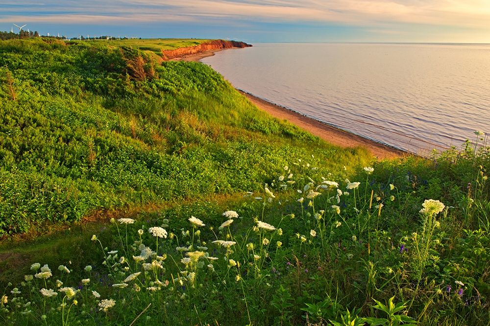 Prince Edward Island Art prints and posters