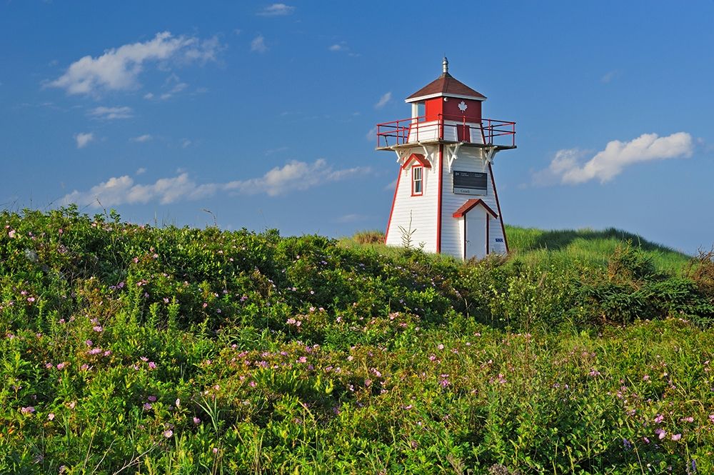 Canada-Prince Edward Island-Covehead Harbour Lighthouse and flowers art print by Jaynes Gallery for $57.95 CAD