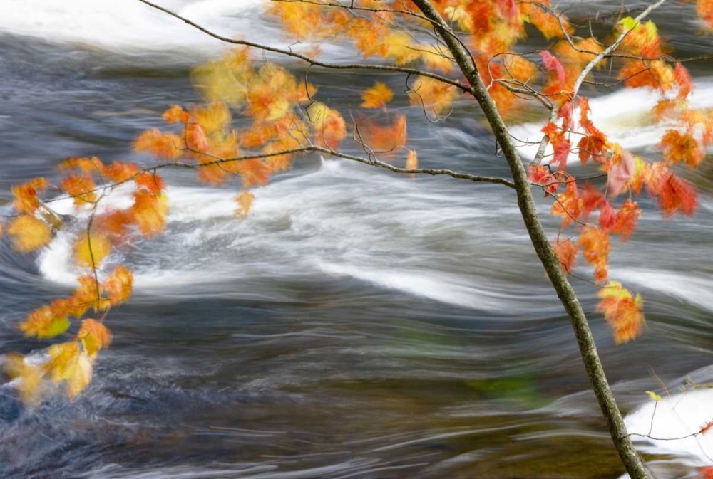 Quebec Art prints and posters