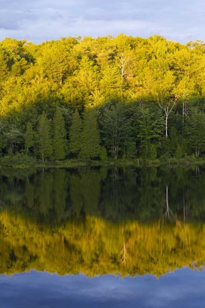 Quebec Art prints and posters