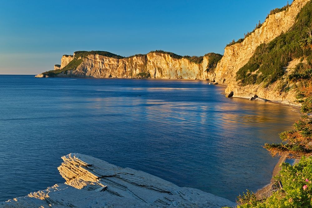 Canada-Quebec-Forillon National Park Limestone cliffs along Gulf of St Lawrence at sunrise art print by Jaynes Gallery for $57.95 CAD