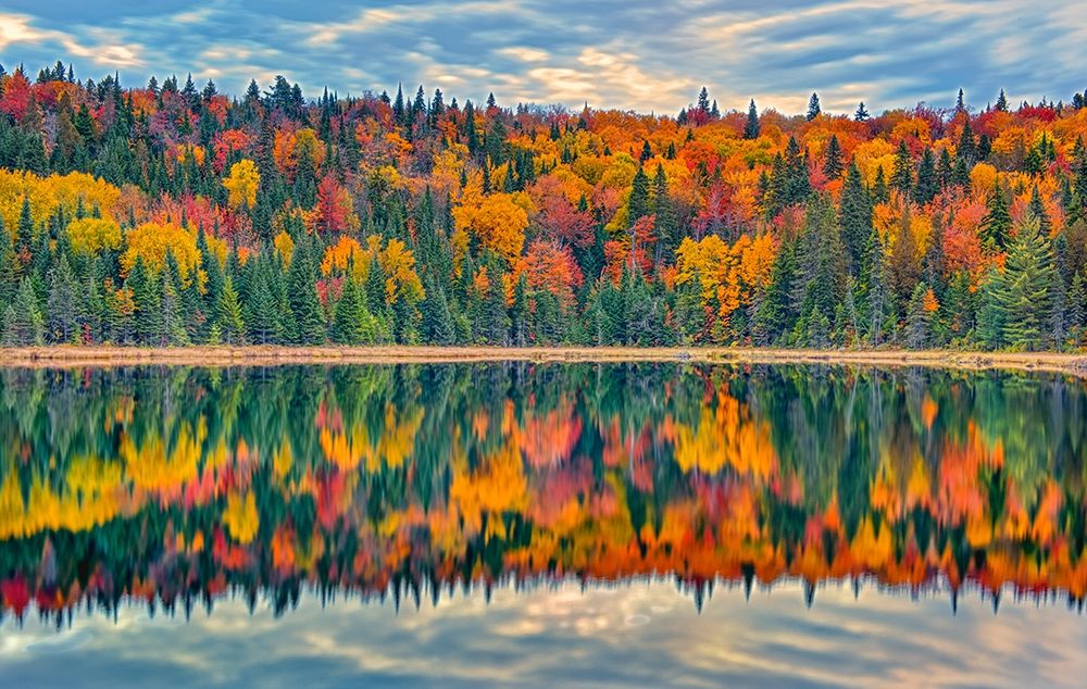 Canada-Quebec-La Mauricie National Park Autumn colors reflected in Lac Modene art print by Jaynes Gallery for $57.95 CAD