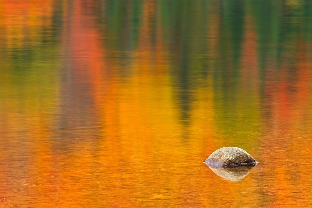 Canada-Quebec-La Mauricie National Park Rock and autumn colors reflected in Lac Wapizagonke art print by Jaynes Gallery for $57.95 CAD