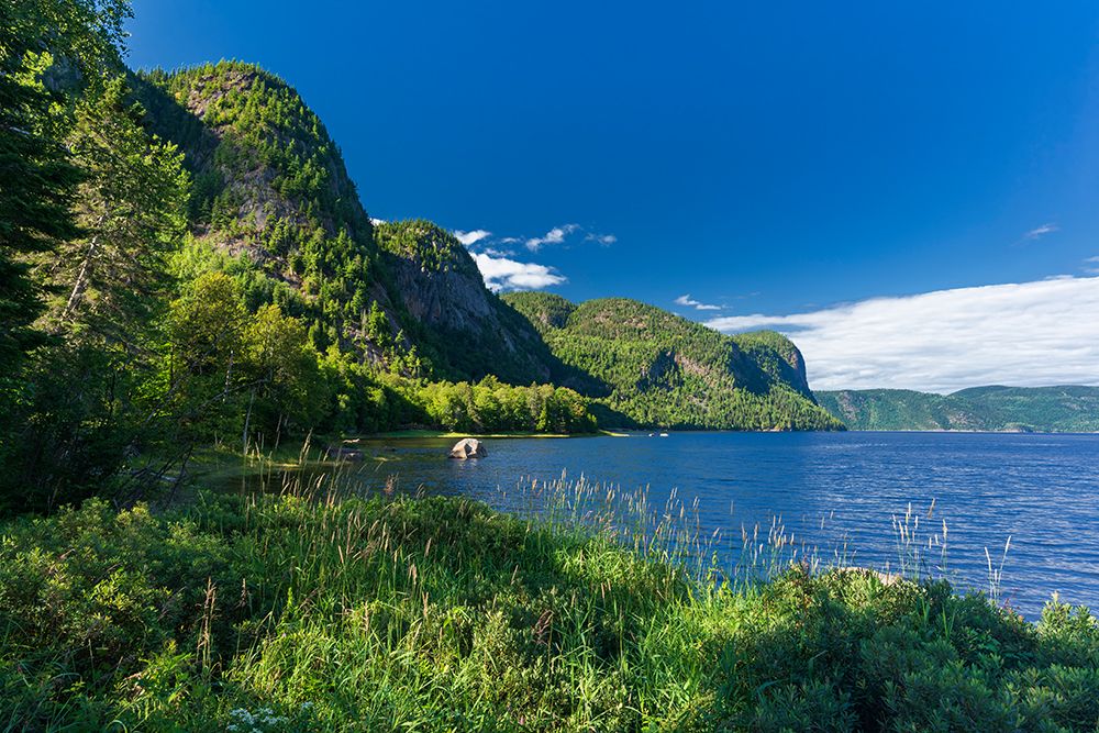 Canada-Quebec-Parc National du Fjord-du-Saguenay. Forested cliffs along the Saguenay River. art print by Jaynes Gallery for $57.95 CAD