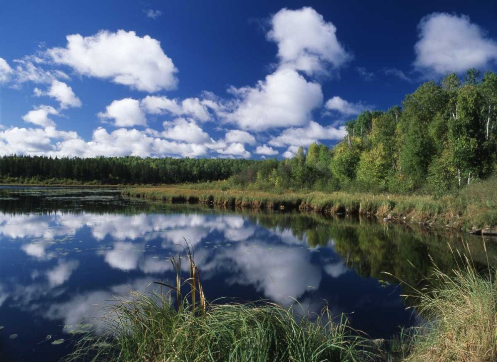 Canada, Saskatchewan,Prince Albert NP, Pond art print by Mike Grandmaison for $57.95 CAD