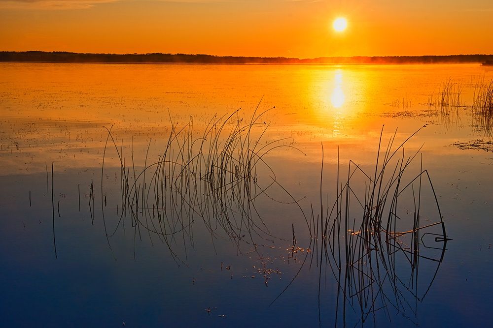 Saskatchewan Art prints and posters