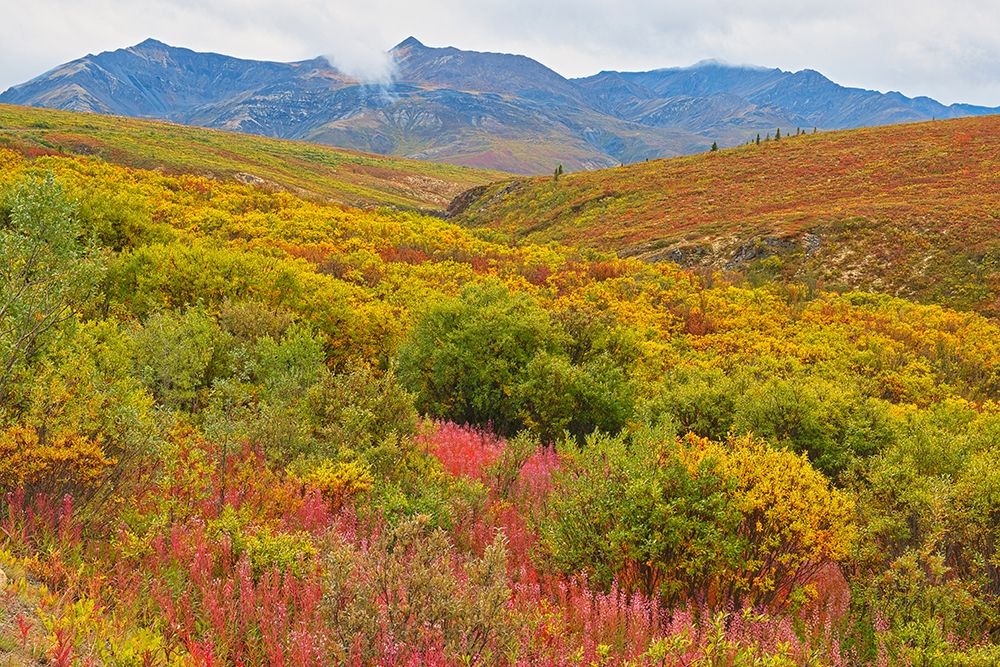 Yukon Art prints and posters