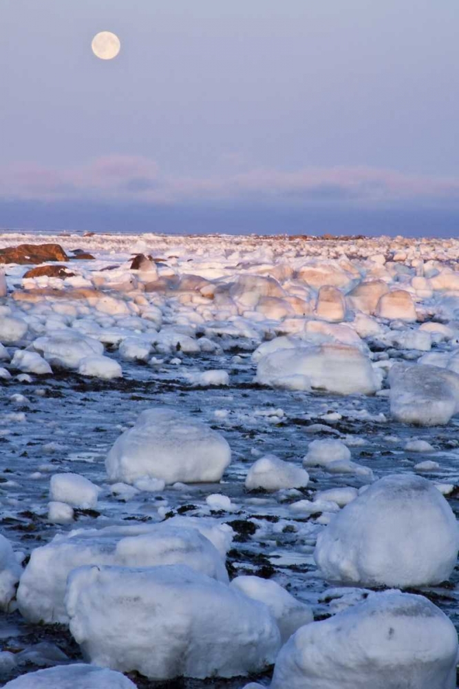 Canada, Hudson Bay Sunset and full moon rising art print by Cathy and Gordon Illg for $57.95 CAD