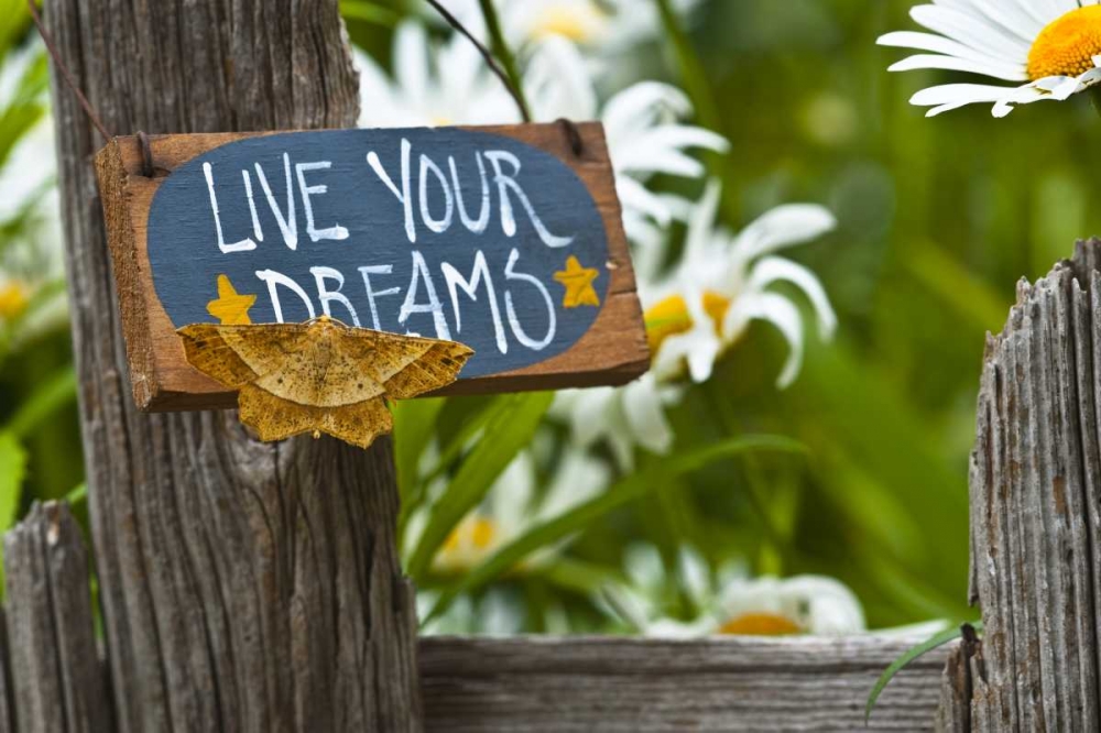 Moth on garden sign with daisies in background art print by Nancy Rotenberg for $57.95 CAD