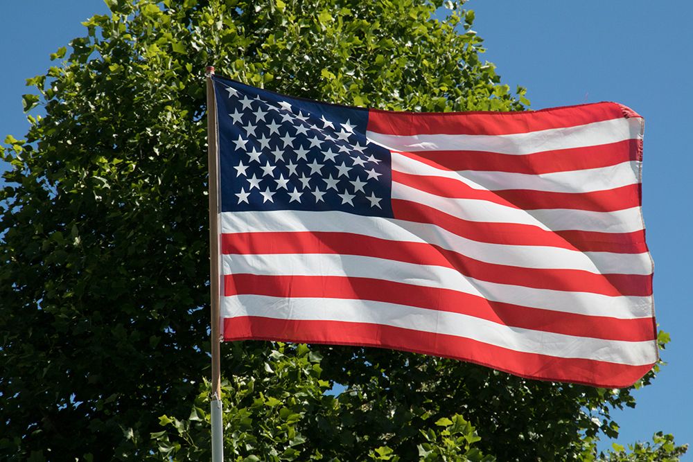 United States flag flying in a breeze. art print by Emily M. Wilson for $57.95 CAD